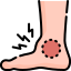 Ankle Pain and Ankle Joint Disorders Assessment