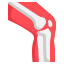 Preventive Orthopedic Care