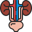 Urinary Catheterization at Home