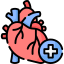 Cardiothoracic & Vascular Surgery (CTVS)