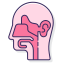 ENT (Ear, Nose & Throat)