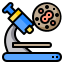 Pathology & Laboratory Medicine